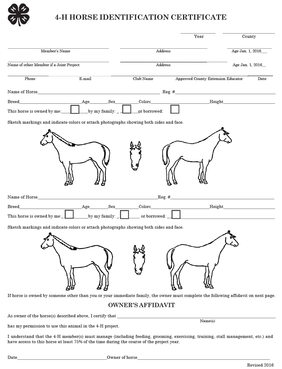 Horse Identification Forms Due to Extension Office by June 1